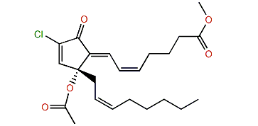 12-O-Acetylchlorovulone I